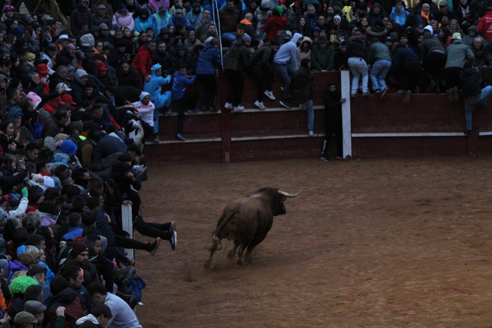 ambiente-y-capea-vespertina-sabado-de-carnaval-en-ciudad-rodrigo-2025-fotos-belen-hurtado-46