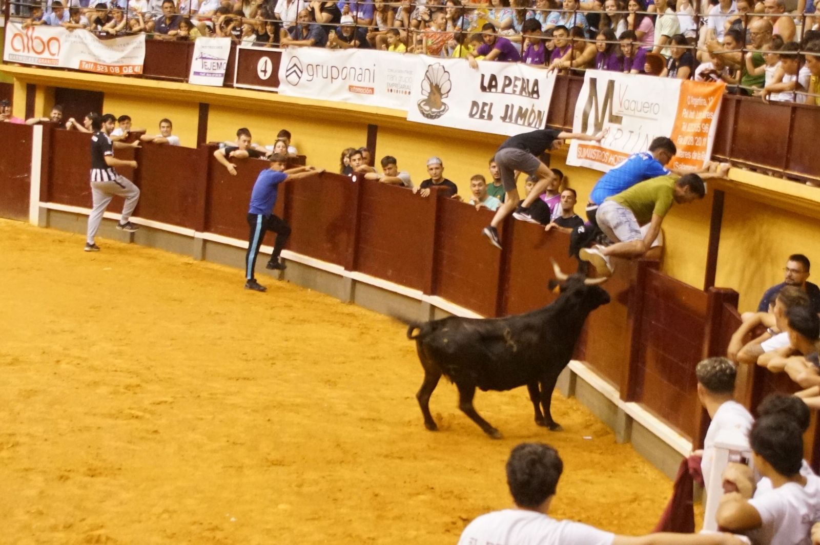 Multitudinario encierro nocturno en Alba de Tormes