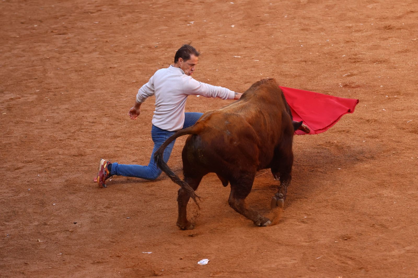 Capea de mañana en el martes del Carnaval del Toro de Ciudad Rodrigo