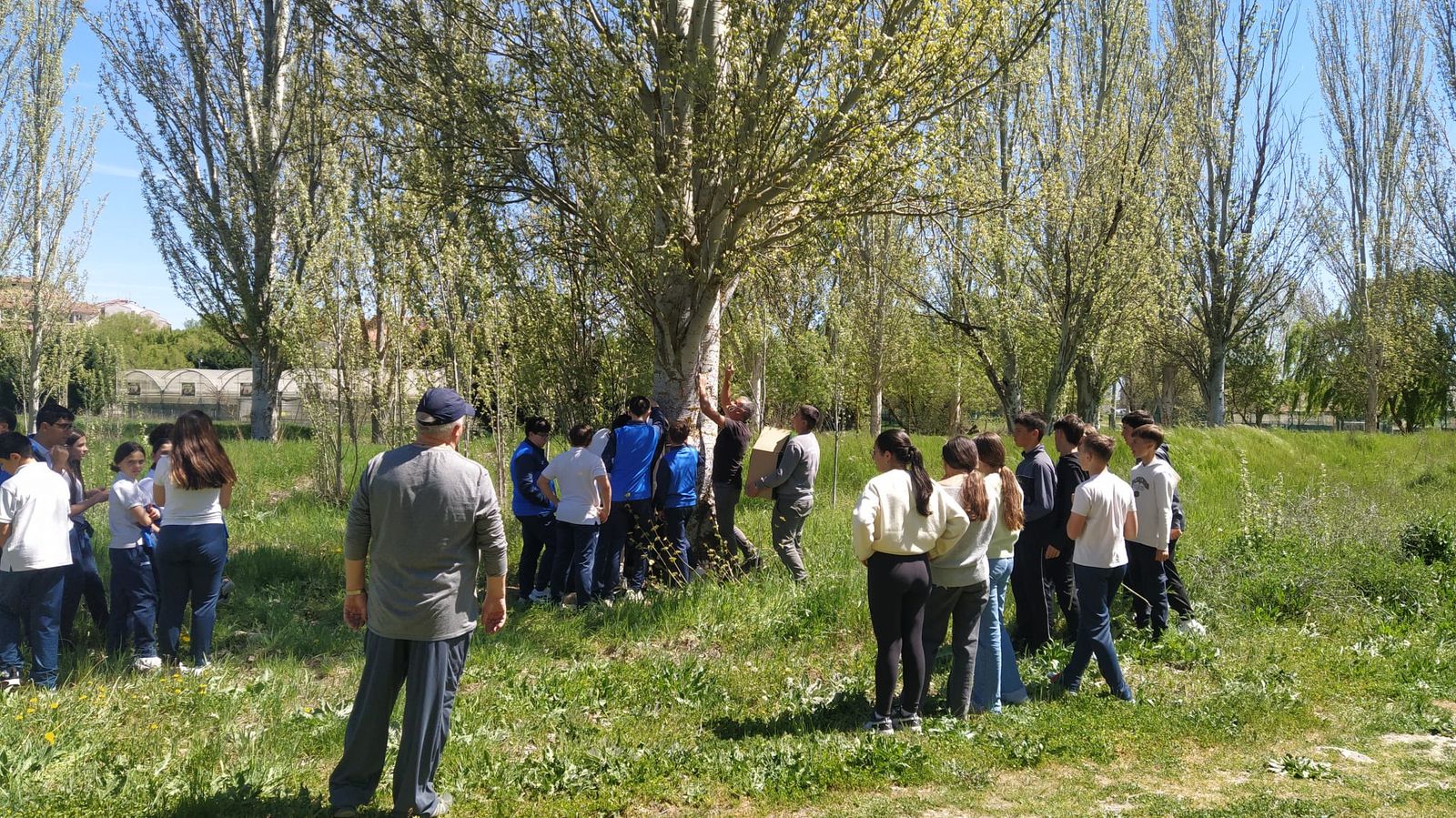Hoteles de insectos en el camino de las playas en Alba de Tormes