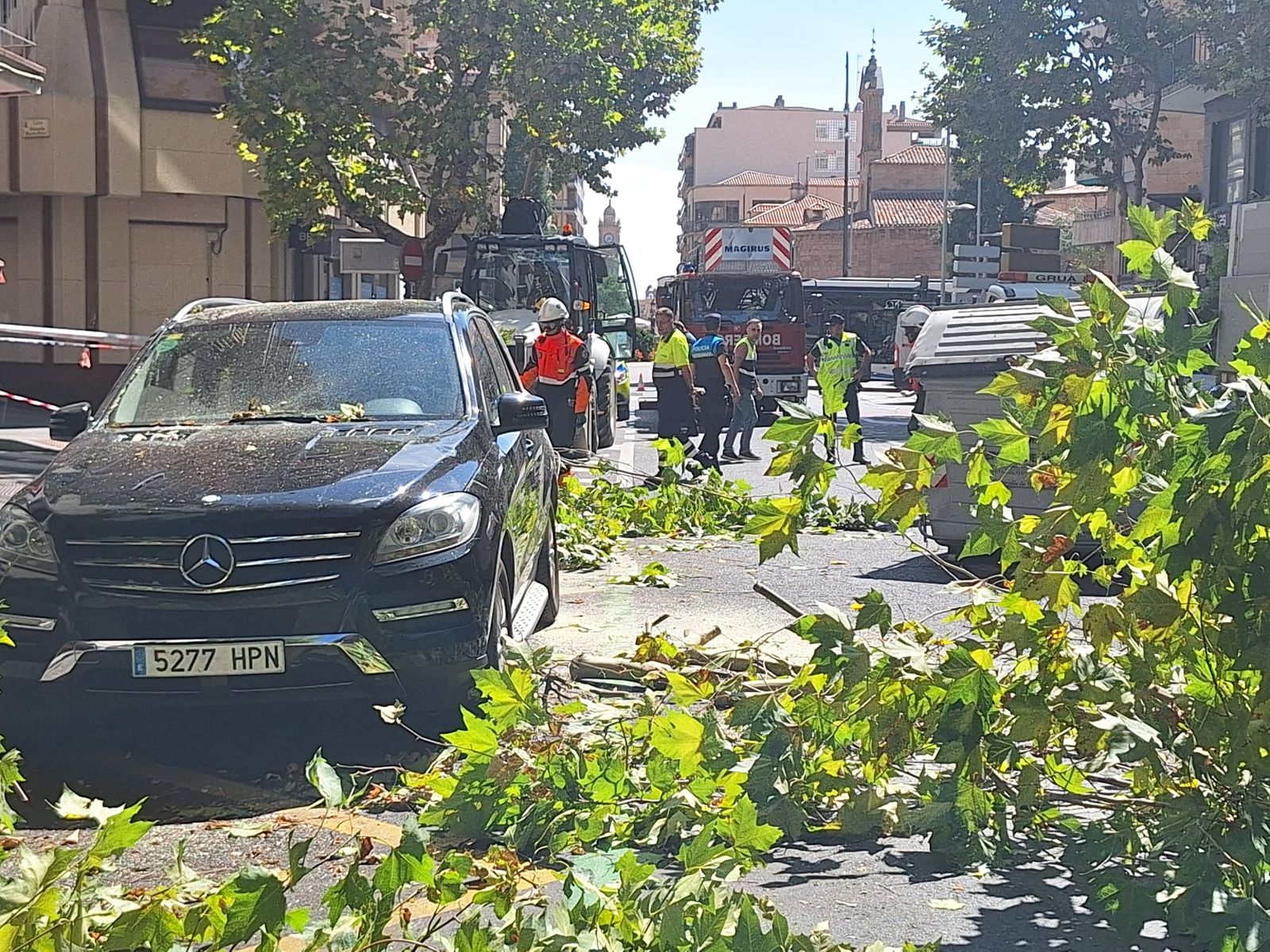 Un árbol cae sobre varios coches en Torres Villarroel