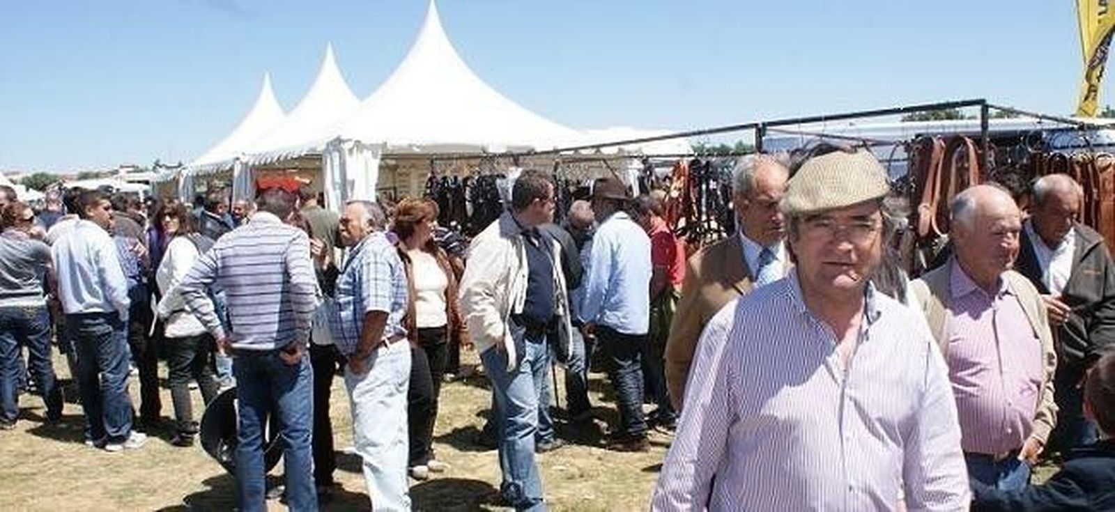 Medio millar de cabezas de ganado para la Feria más importante de El Abadengo Medio millar de cabezas de ganado para la Feria más importante de El Abadengo