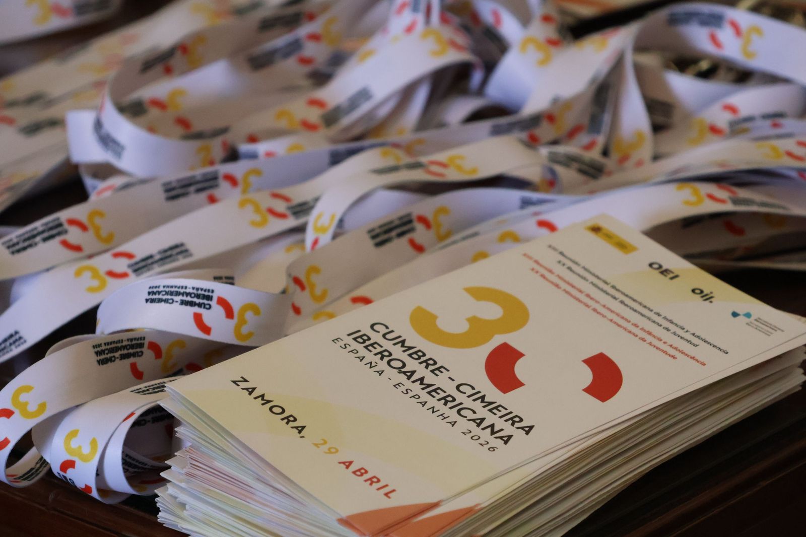 Recepción Reunión Iberoamericana de la Juventud y la Infancia (5).JPG