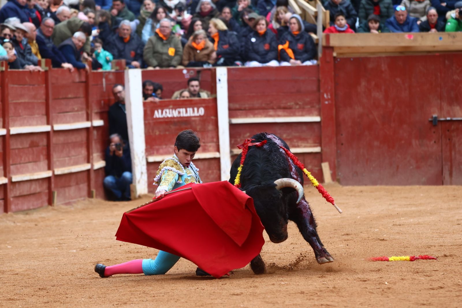 Novillada con picadores de lunes en el Carnaval del Toro de Ciudad Rodrigo 2026