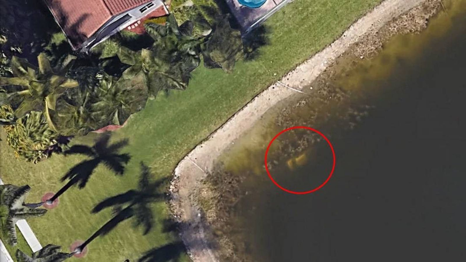 El 'caso William Moldt' o cómo Google Earth permitió resolver la desaparición de un hombre 22 años después