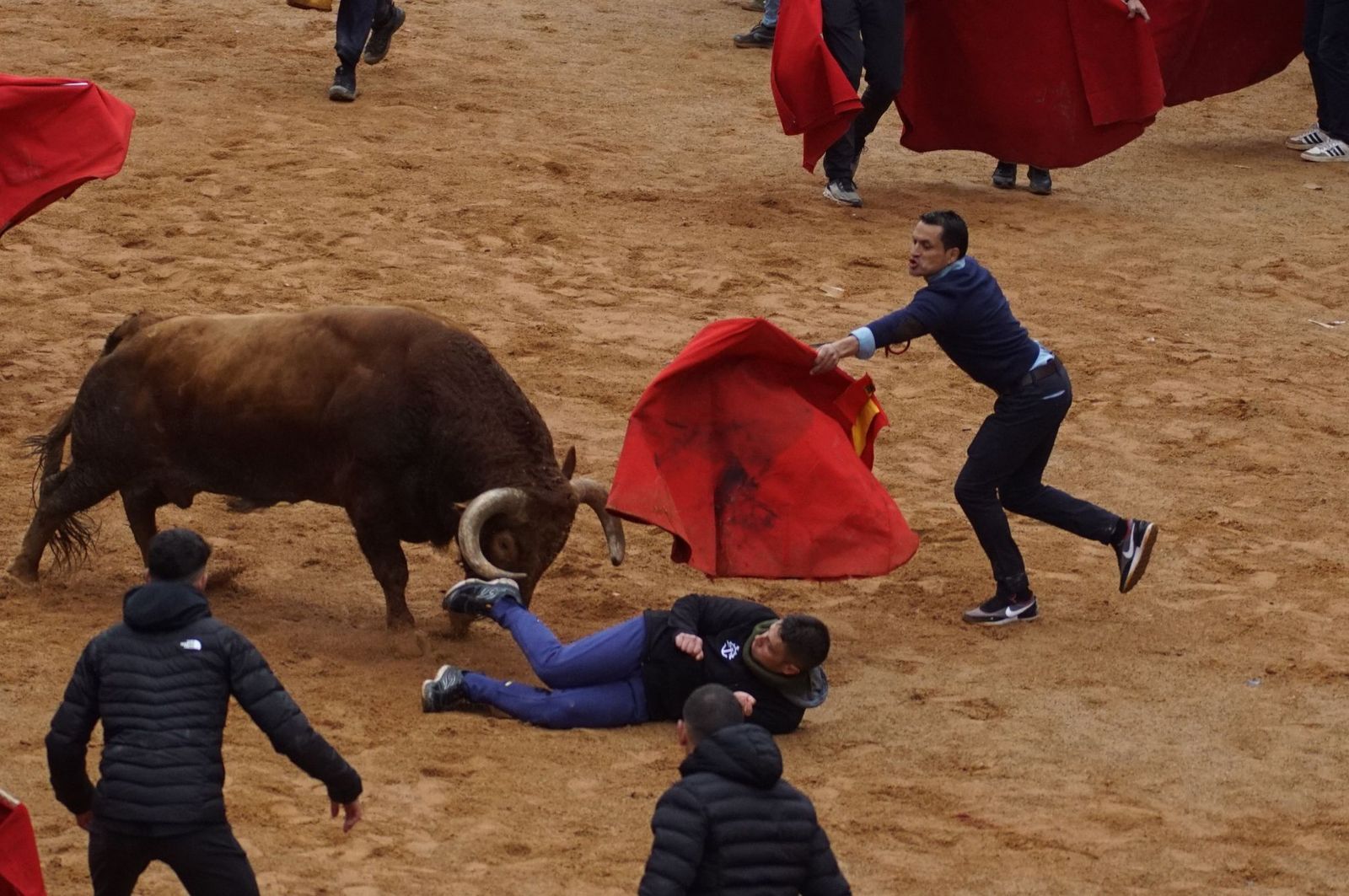 whatsapp-image-2025-03-03-at-14-50-27