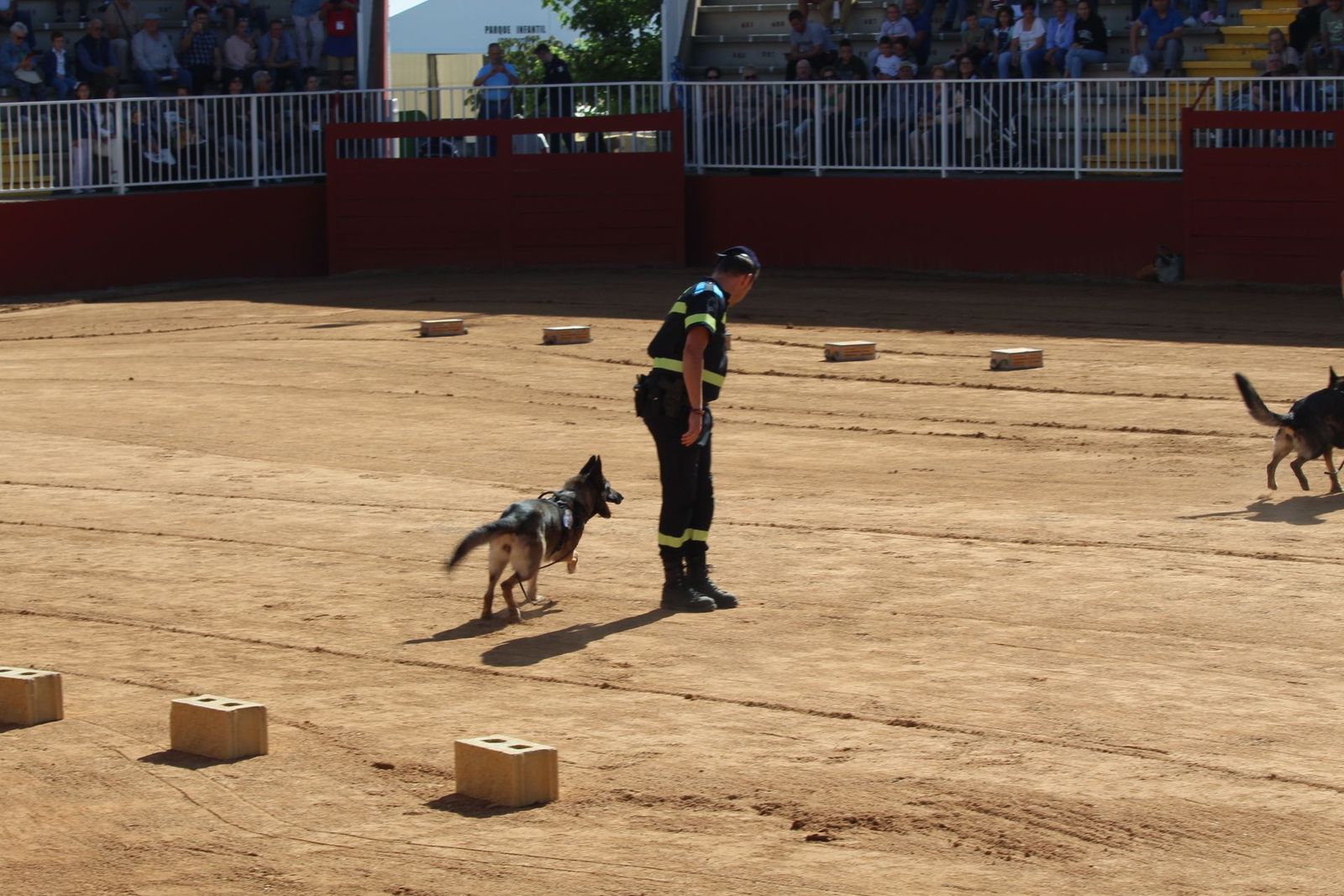 20230905122750-img-7951