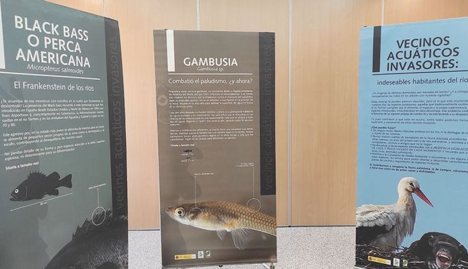 Exposición de animales acuáticos 