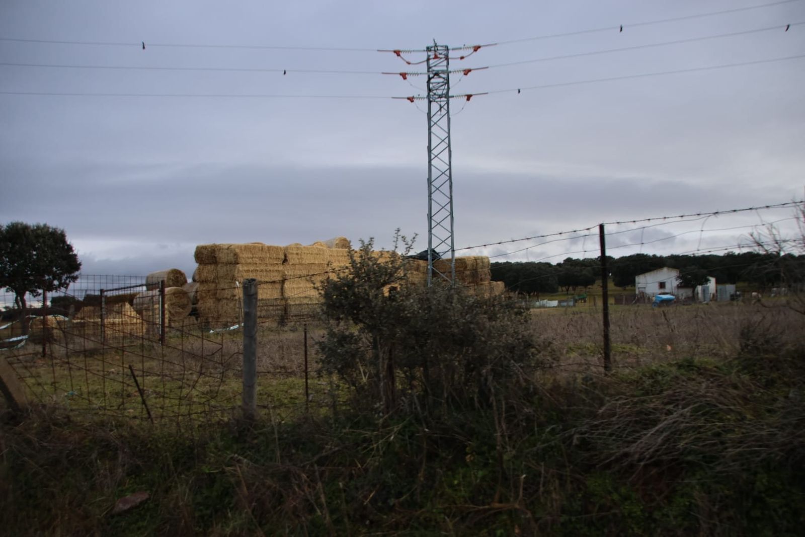 imagen-de-whatsapp-2025-02-07-a-las-10-06-30-c0e85839