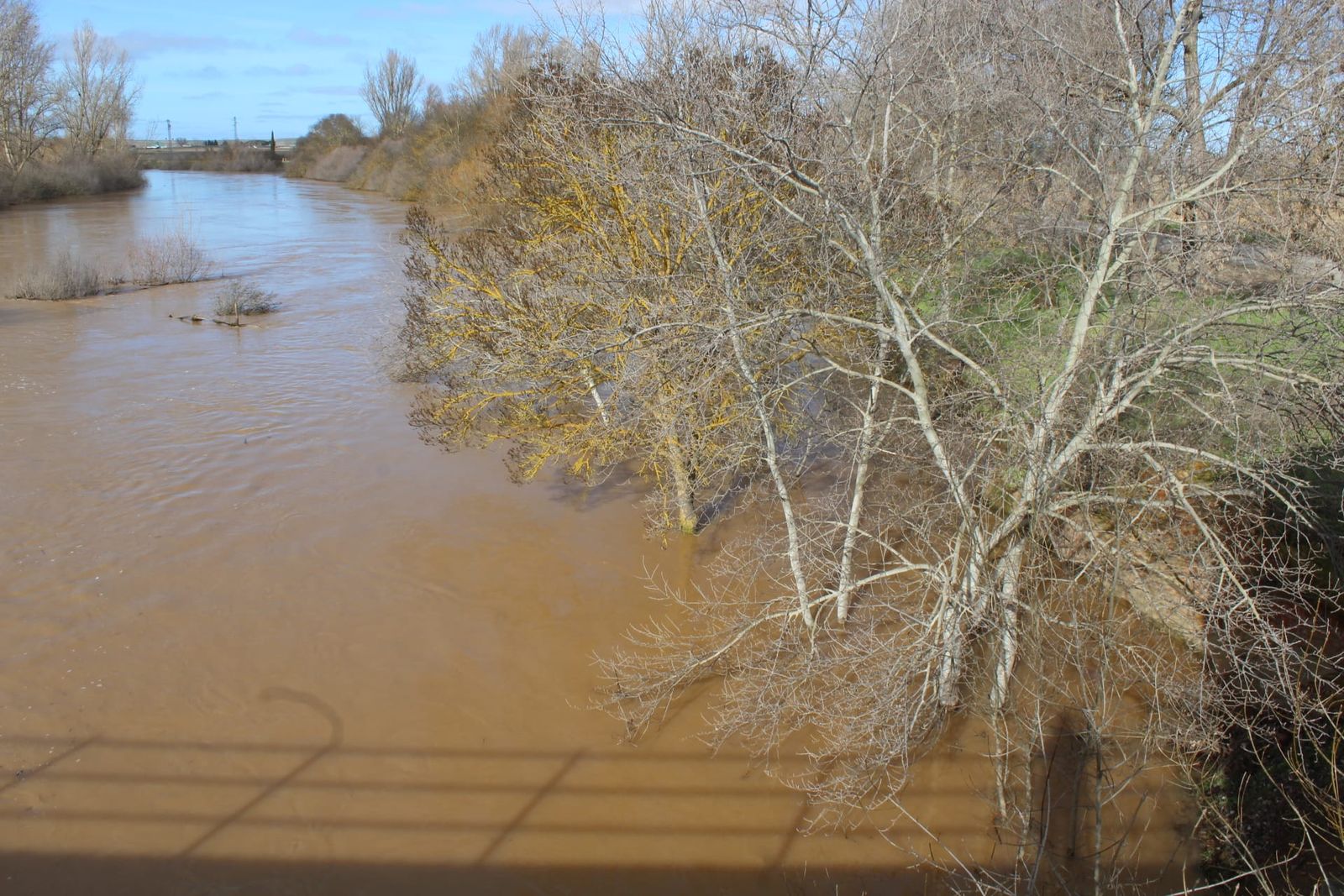 huerta-el-tormes-crecido-tras-las-ultimas-lluvias-inunda-la-playa-y-la-zona-de-ribera-19