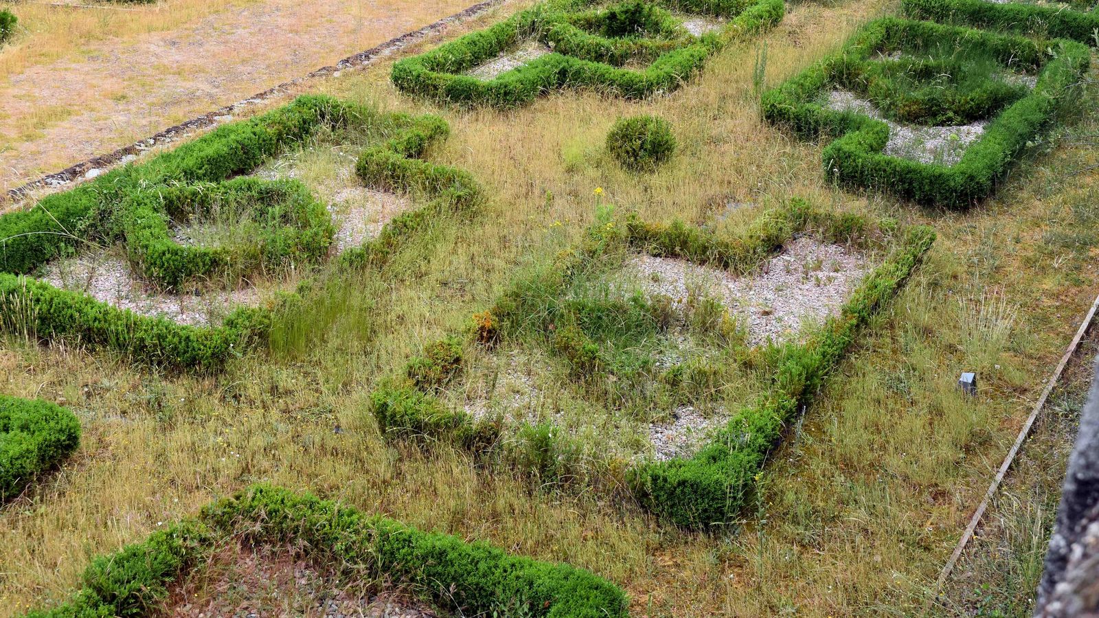 La Huerta de los Bojes, de El Bosque de Béjar, invadida de maleza, con setos sin podar y otros ya medio perdidos. La Huerta de los Bojes, de El Bosque de Béjar, invadida de maleza, con setos sin podar y otros ya medio perdidos.