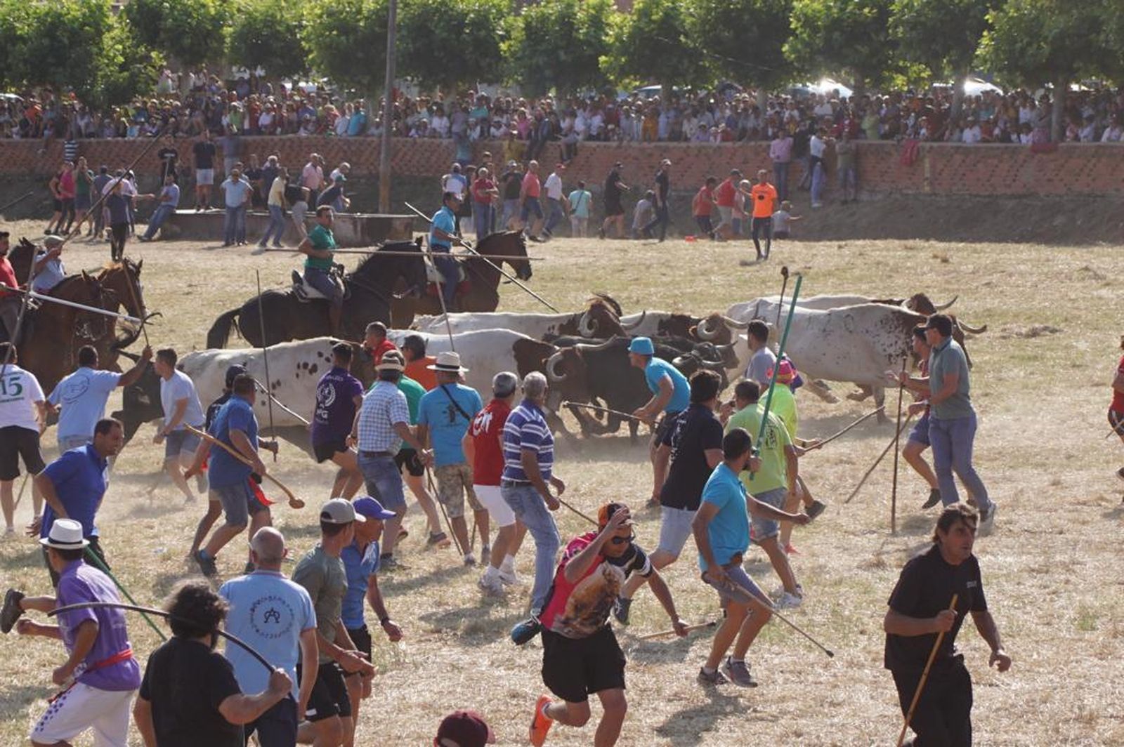 espantes-de-fuentesauco-15