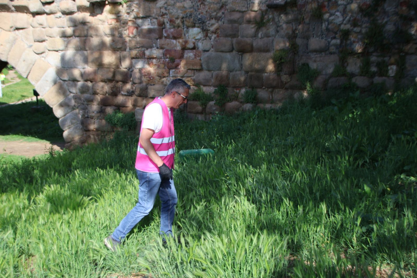Actividad de voluntariado ambiental