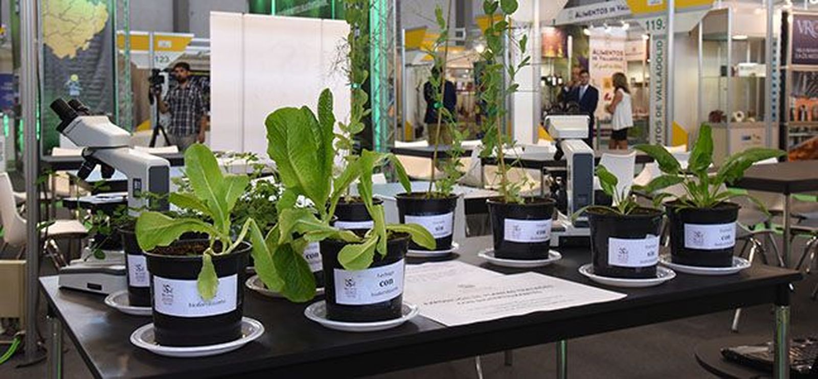 Stand USAL en Salamaq