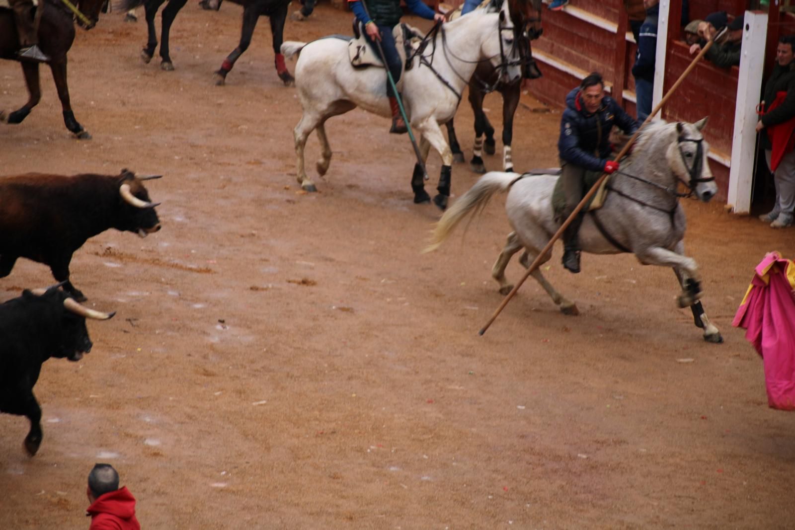 whatsapp-image-2024-02-11-at-11-41-49-9