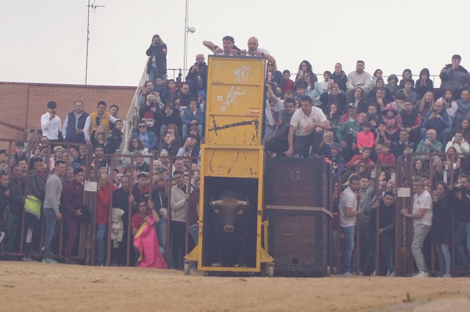 Villoria, toro del Voto