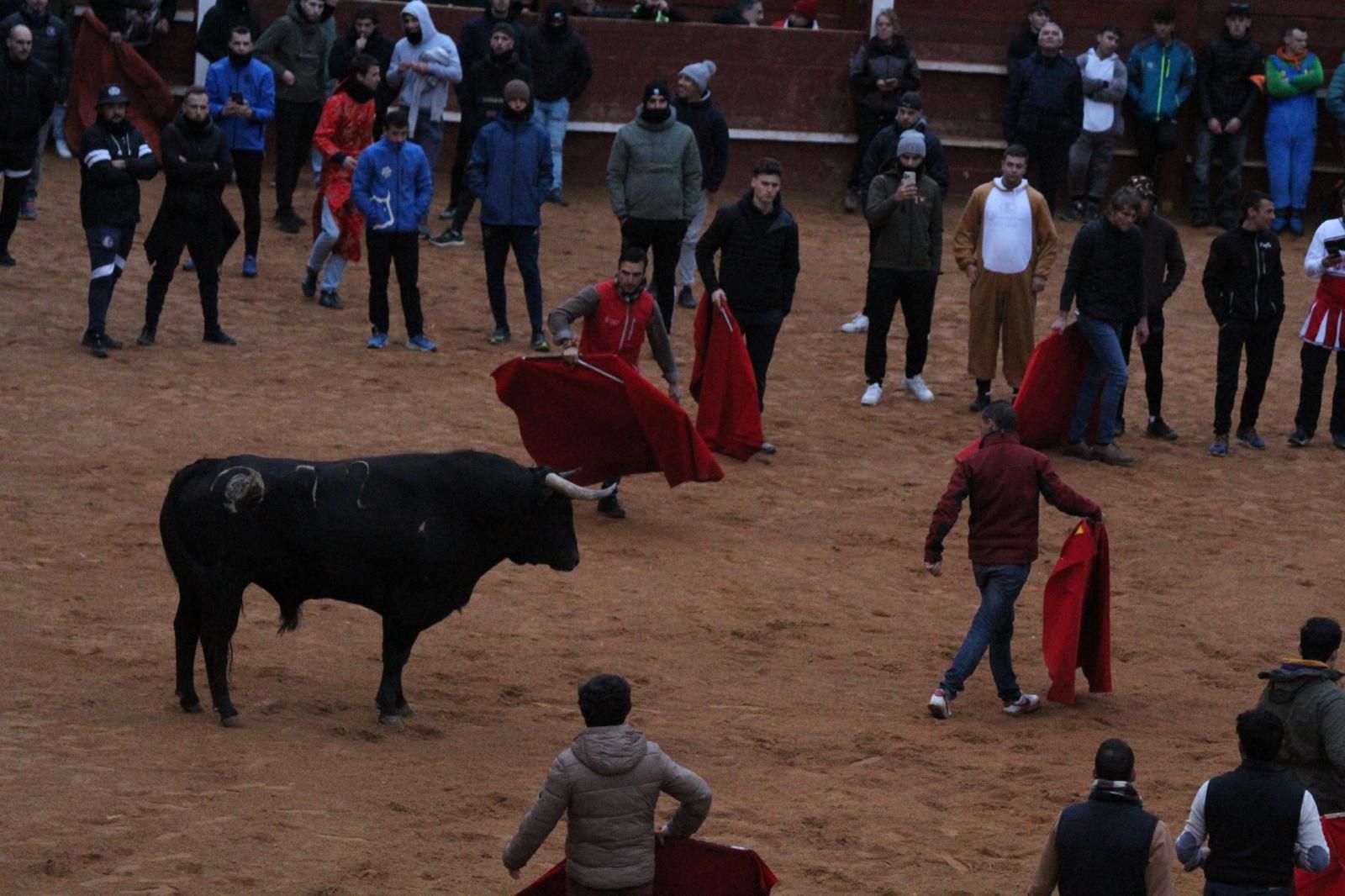 ambiente-y-capea-vespertina-sabado-de-carnaval-en-ciudad-rodrigo-2025-fotos-belen-hurtado-12