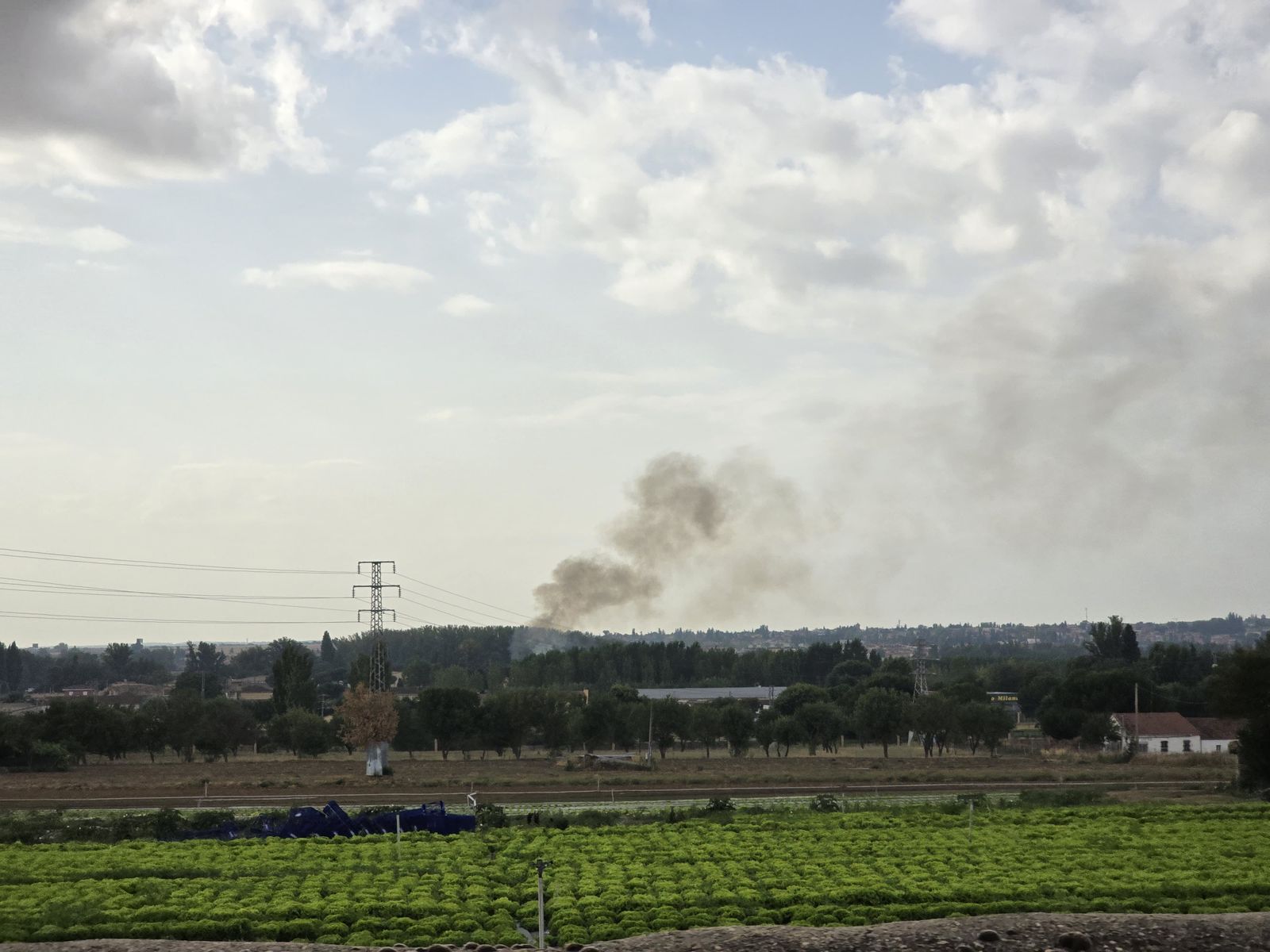 whatsapp-image-2024-08-29-at-10-44-18-3