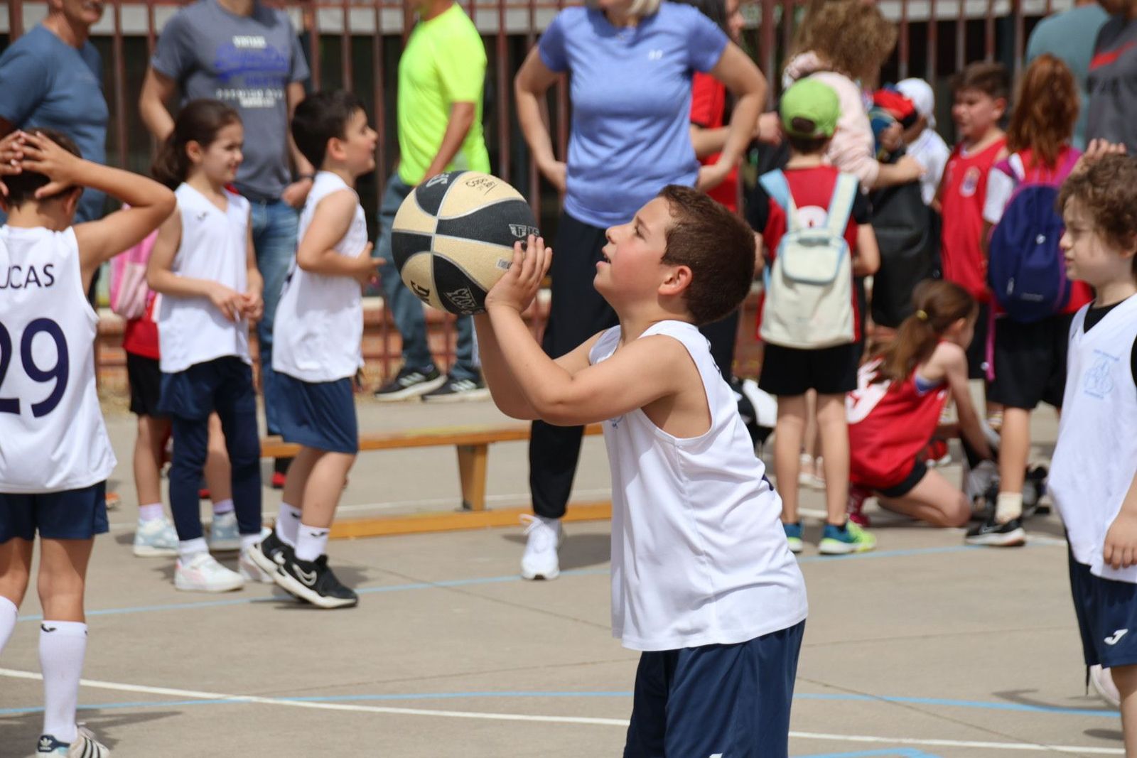 20240526110354-img-2576