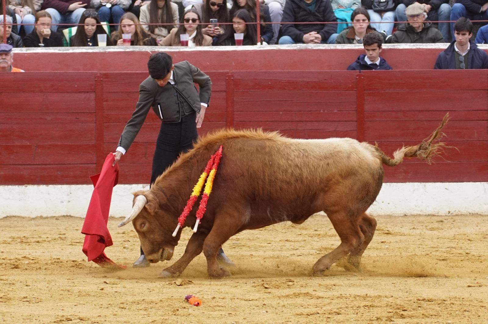 Festival taurino en Villoria