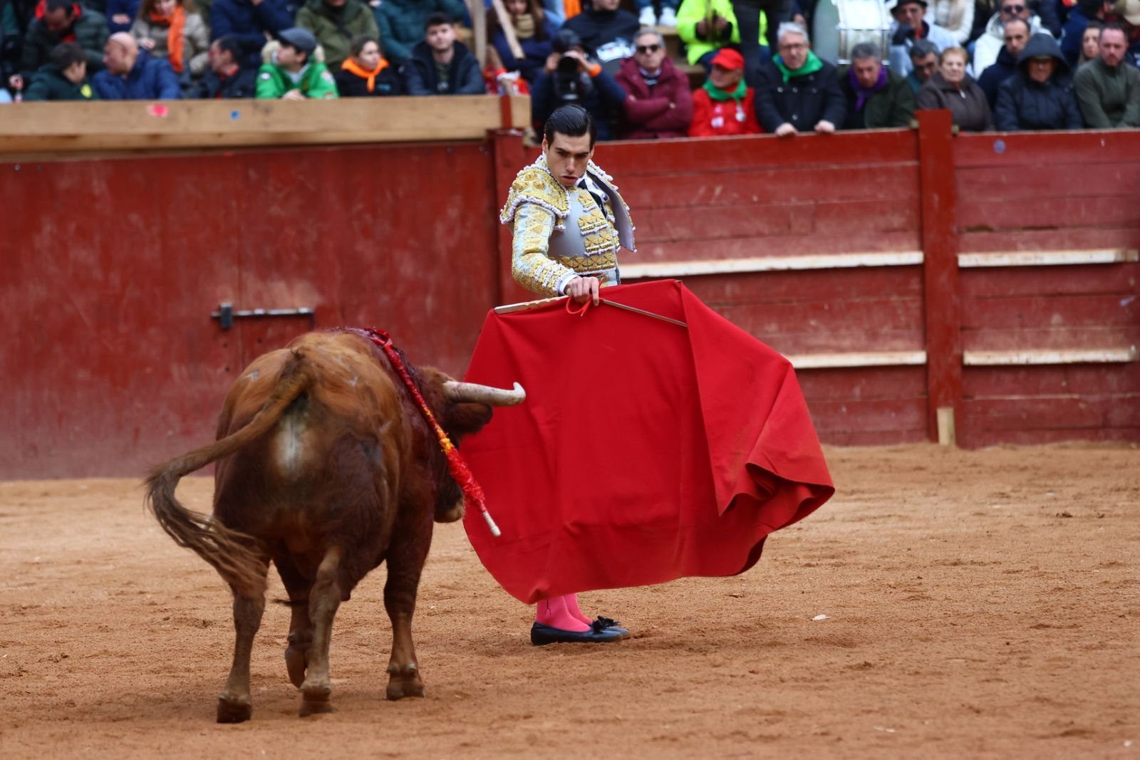 Novillada con picadores de lunes en el Carnaval del Toro de Ciudad Rodrigo 2026