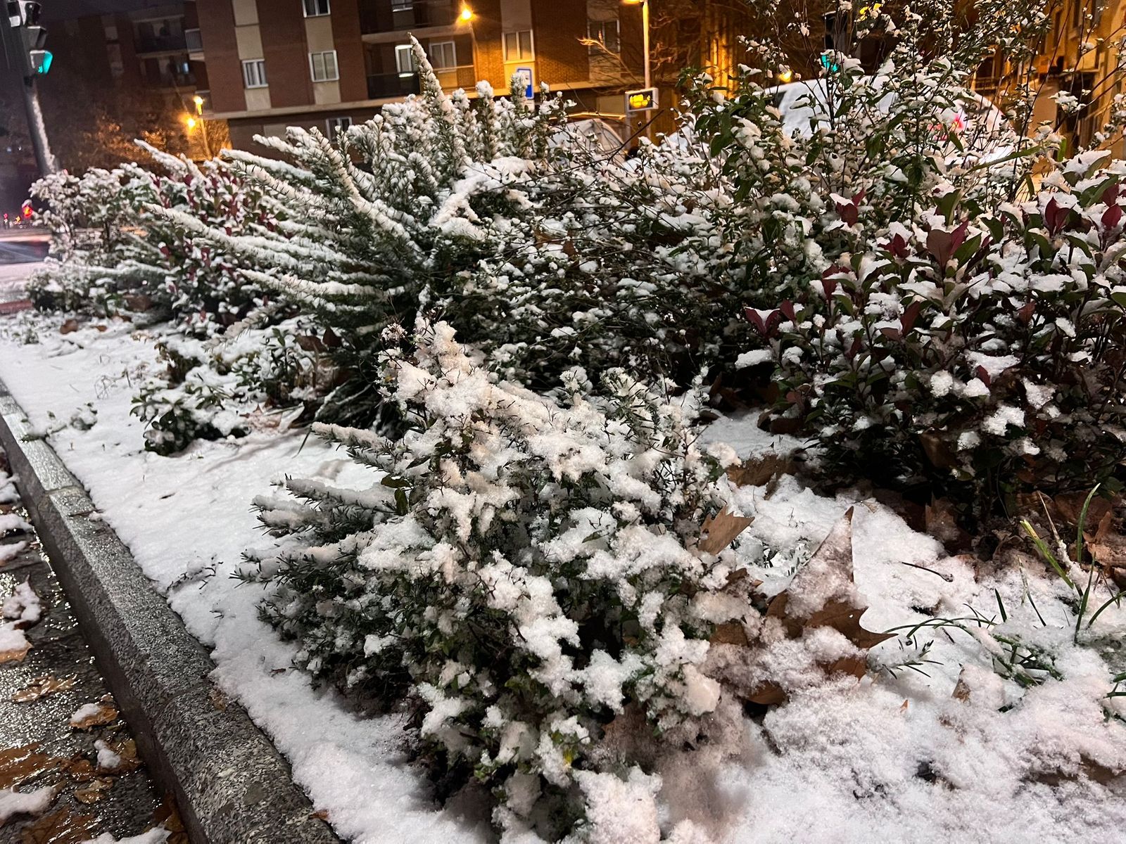Nieve en Salamanca capital
