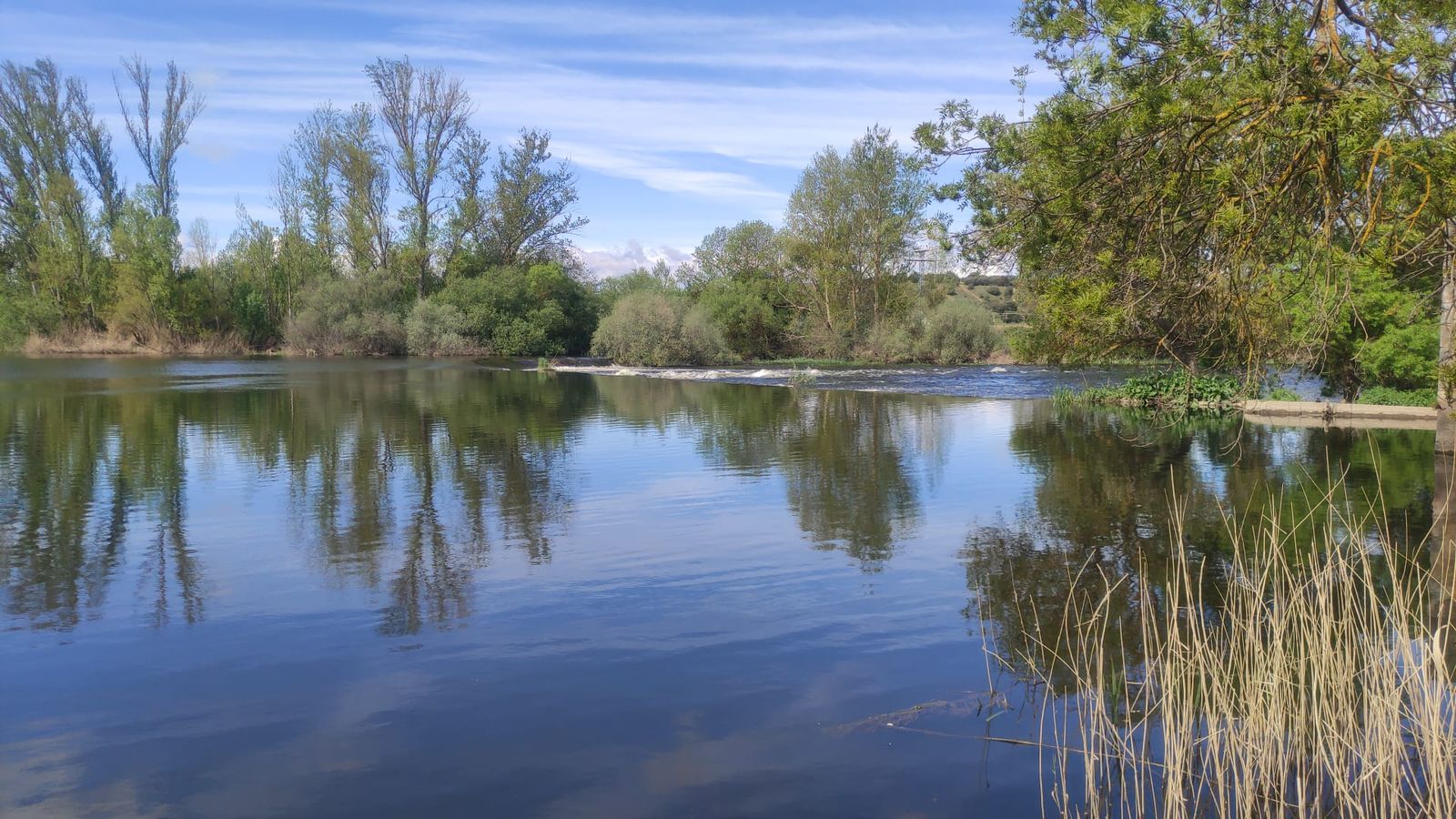 Zona en la que se ha hallado el cuerpo sin vida en el río Tormes durante el Lunes de Aguas