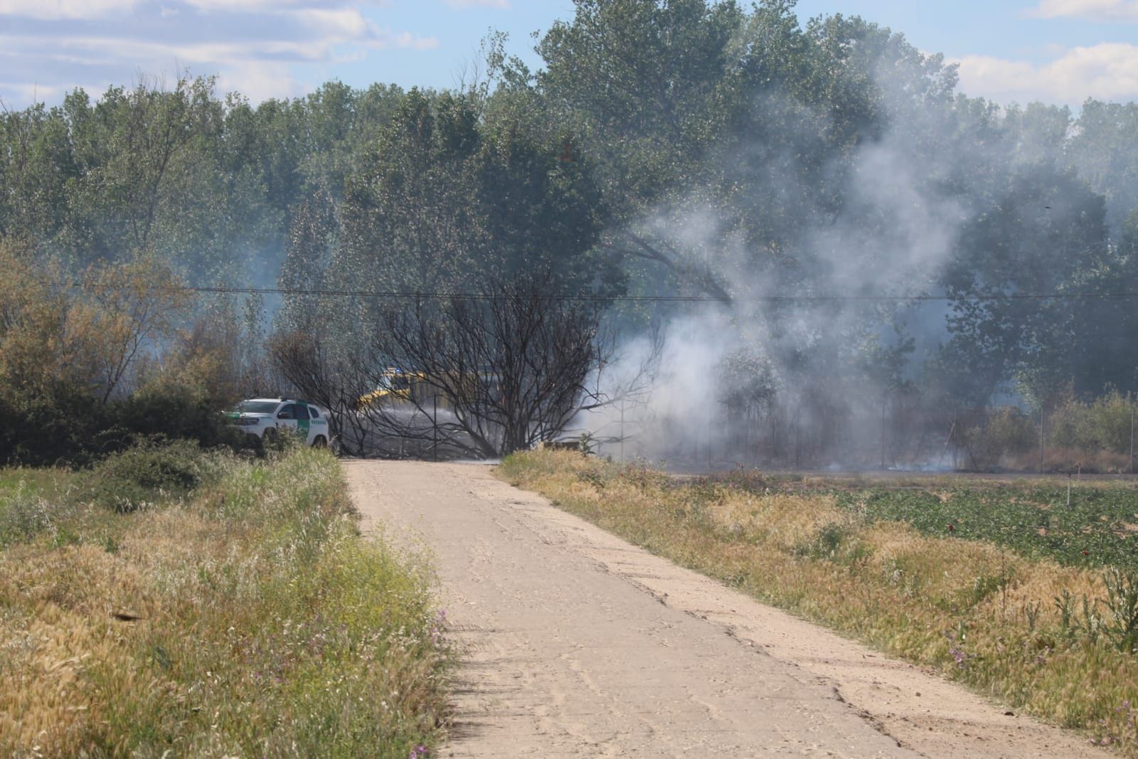 Incendio en una arboleda en Santa Marta de Tormes