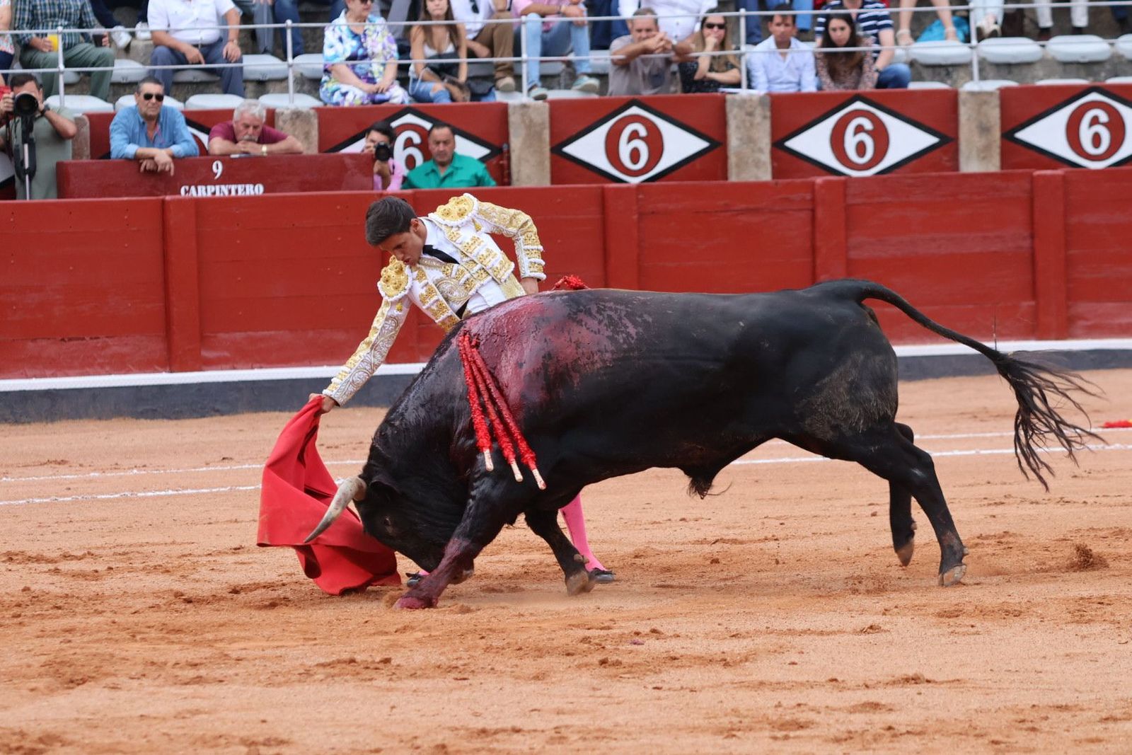 20230910180703-img-2045