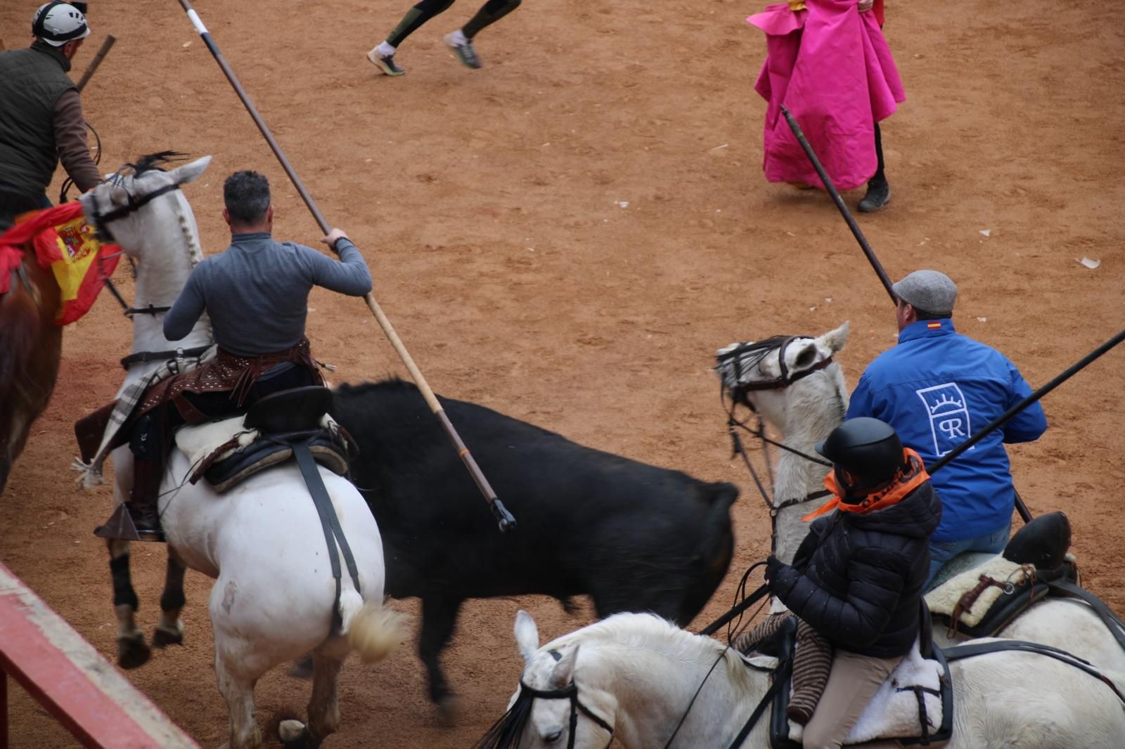 Encierro a Caballo en el Carnaval del Toro 2026 de Ciudad Rodrigo