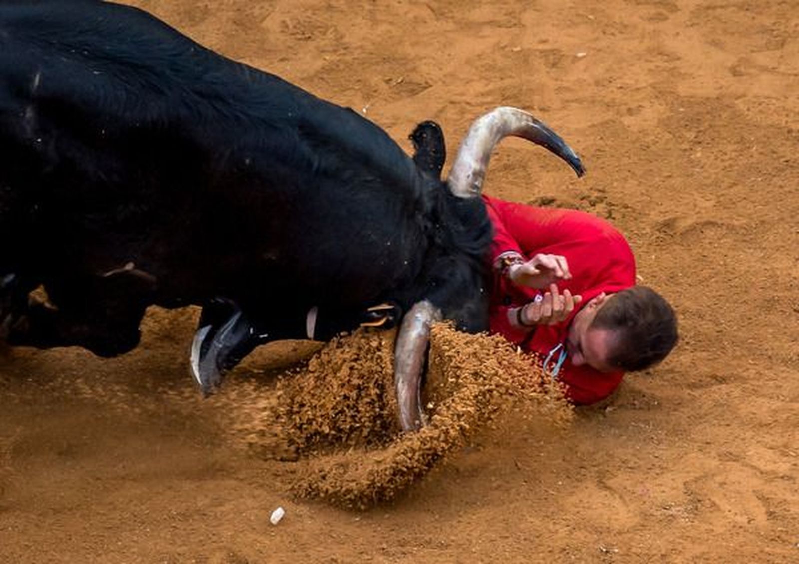 Cogida a un varón durante la capea de la tarde de este martes. FOTO ICAL Cogida a un varón durante la capea de la tarde de este martes. FOTO ICAL