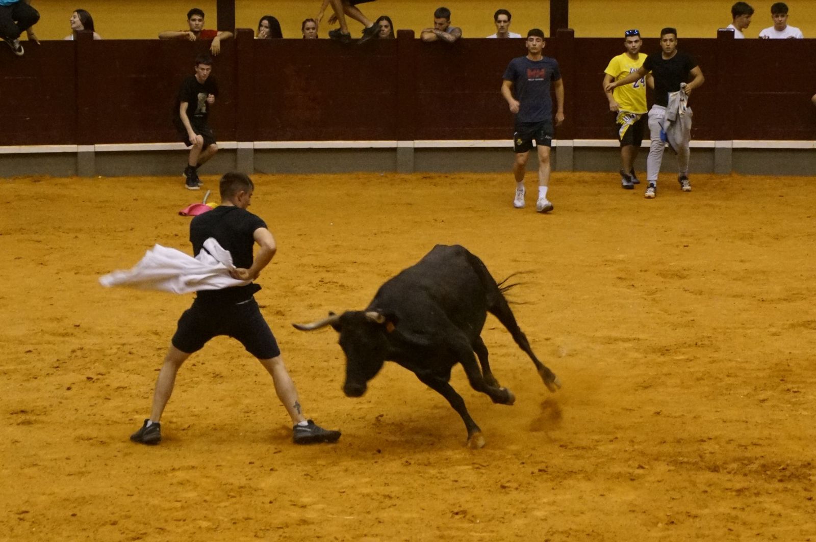 Multitudinario encierro nocturno en Alba de Tormes
