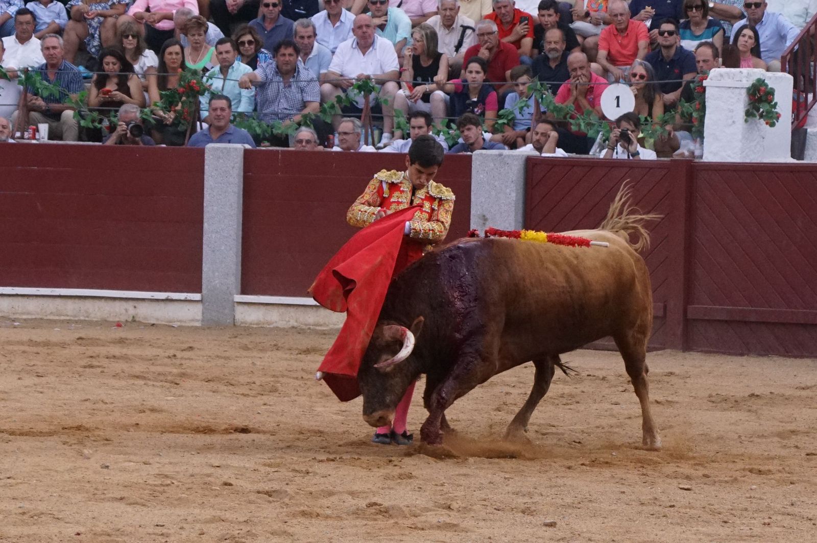 corrida-rejones-guijuelo-6