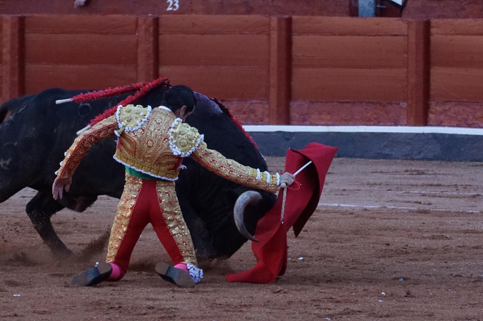 Emilio de Justo, Juan Ortega y Roca Rey inauguran el cartel de figuras en la feria de Salamanca: la corrida de Garcigrande en imágenes