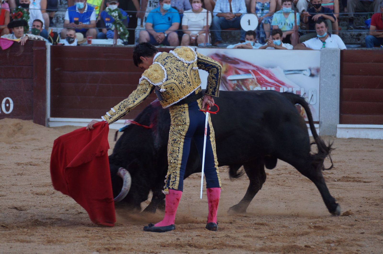 toros-en-guijuelo-15-de-agosto-50