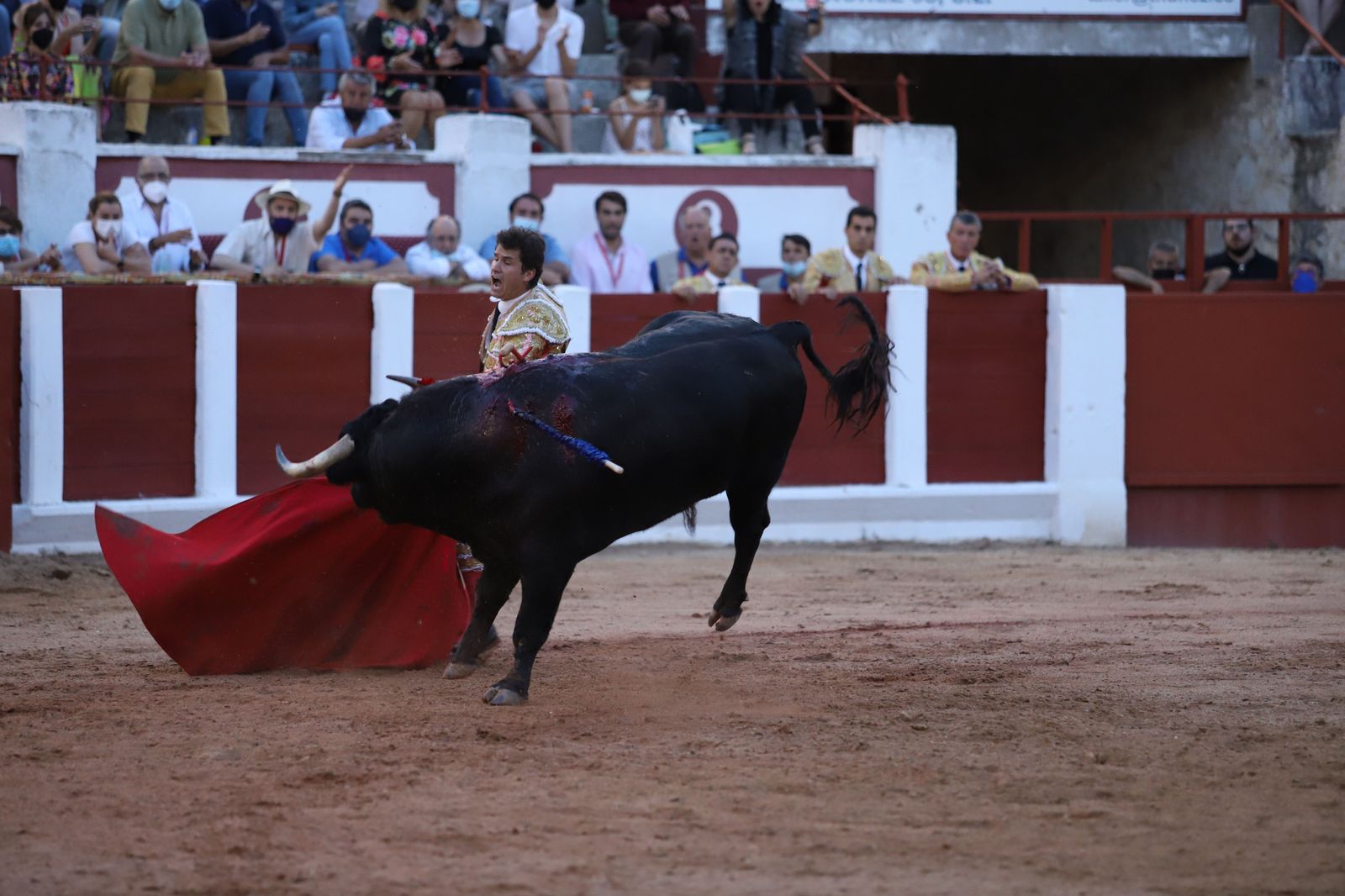 roca-rey-pablo-aguado-y-daniel-luque-en-zamora-33