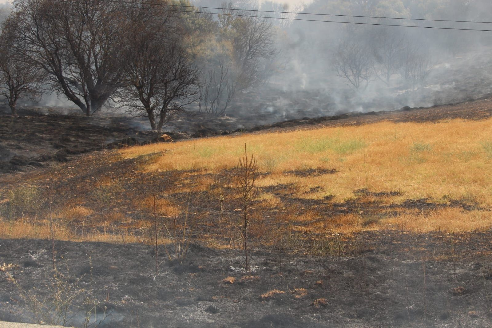Incendio forestal en Buenavista. Fotos Carlos H.G