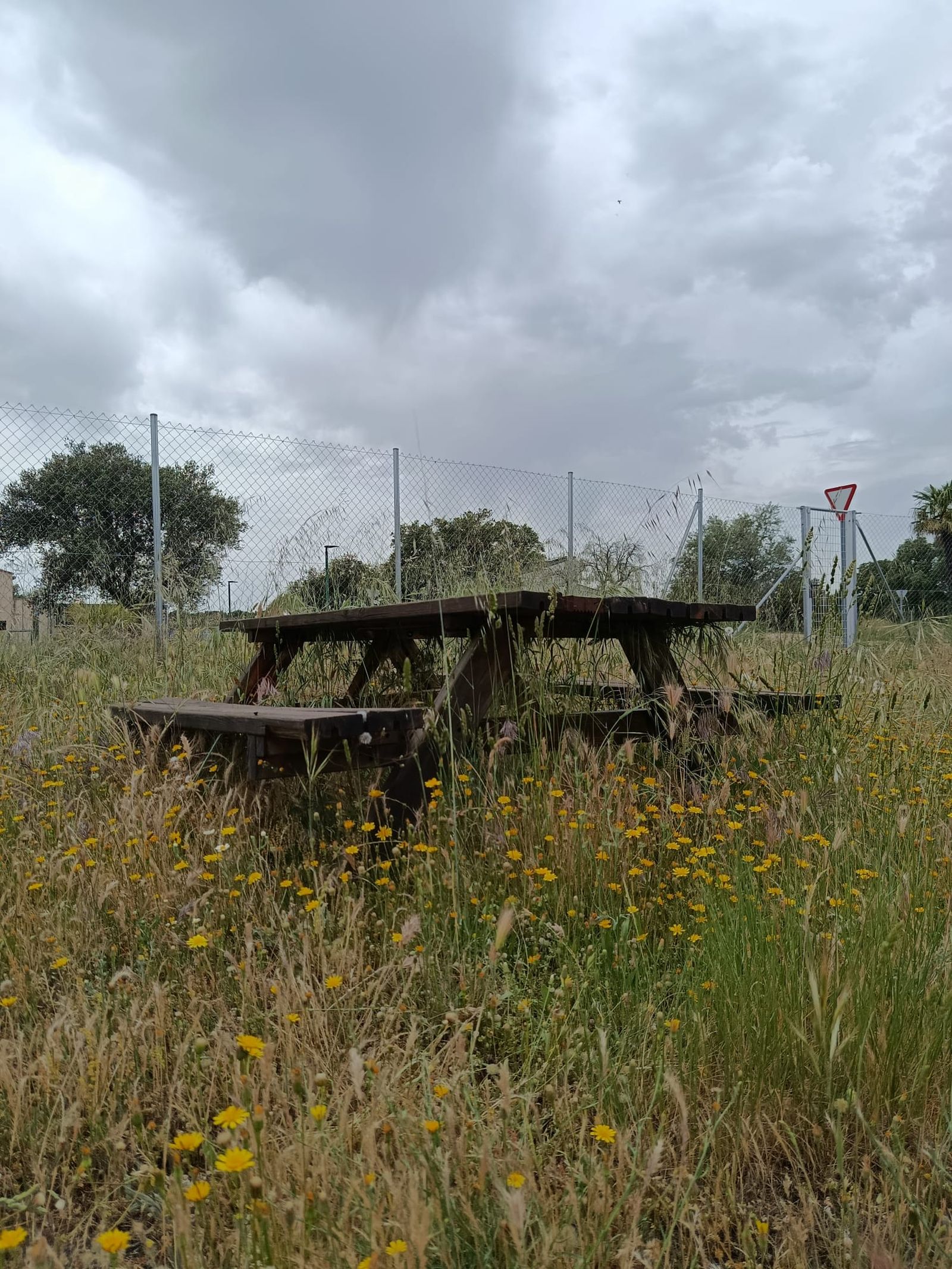 Urbanización Oasis Golf en Carrascal de Barregas  (6).jpeg