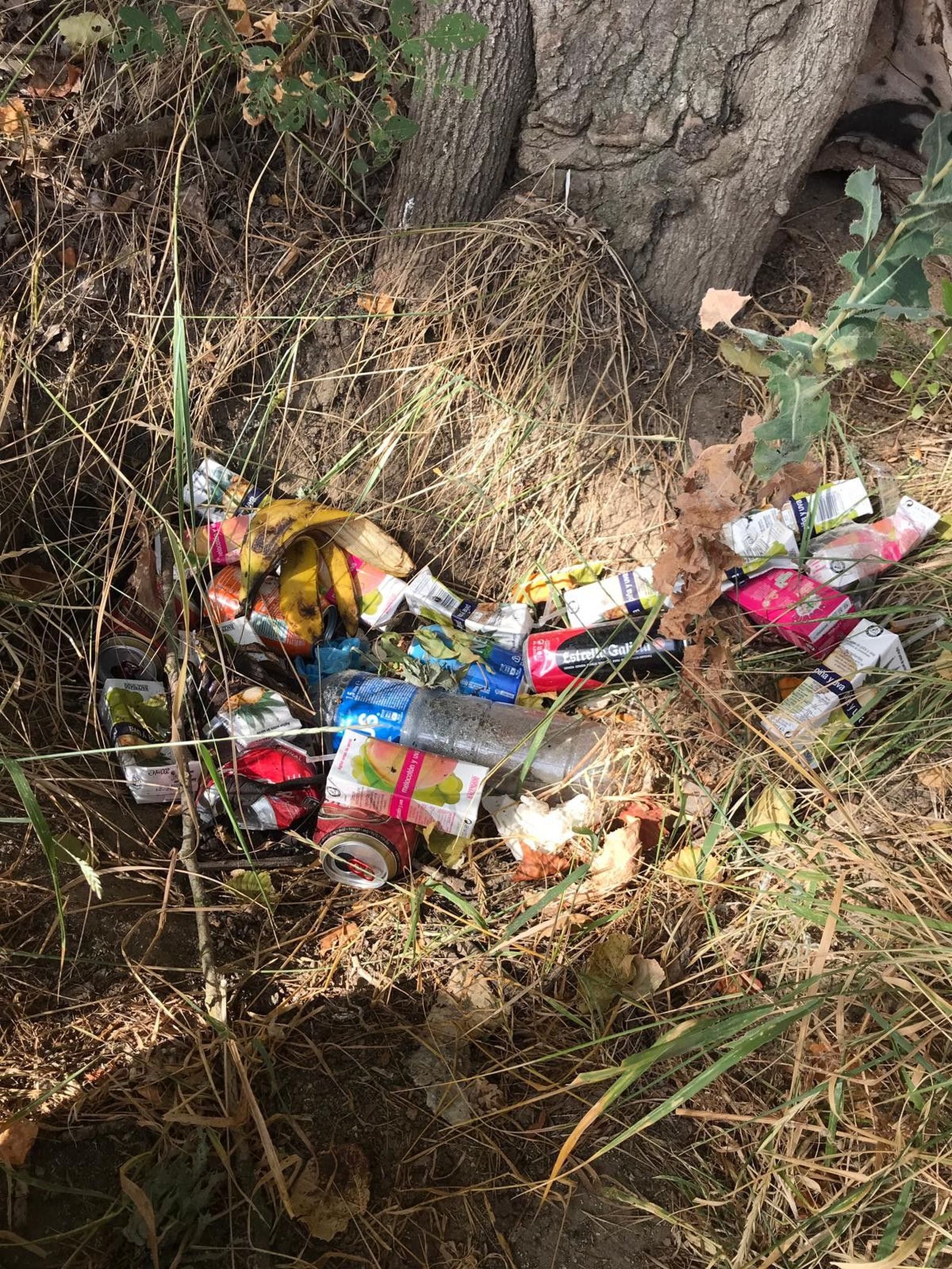 WhatsApp Image 2020 08 08 at 16.17.52 (6)