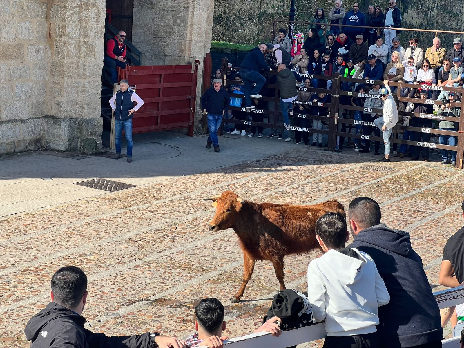 Domingo de piñata en Ciudad Rodrigo