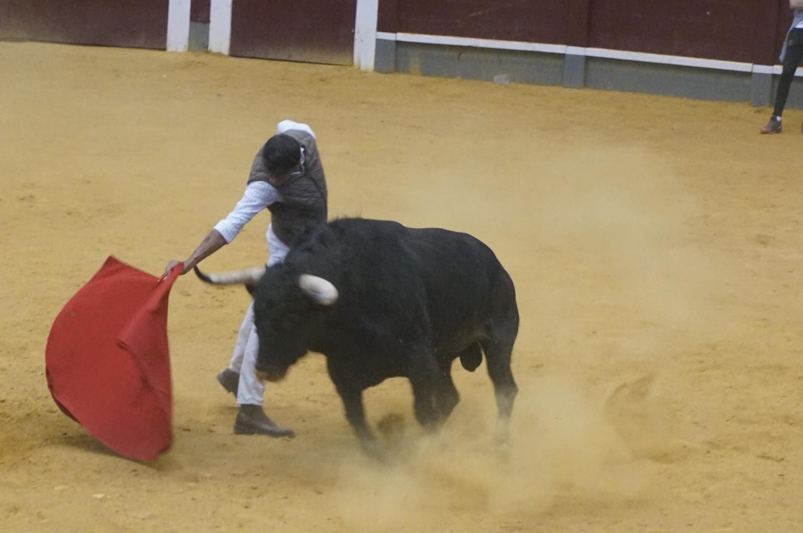 Toro del cajón y capea en Alba de Tormes