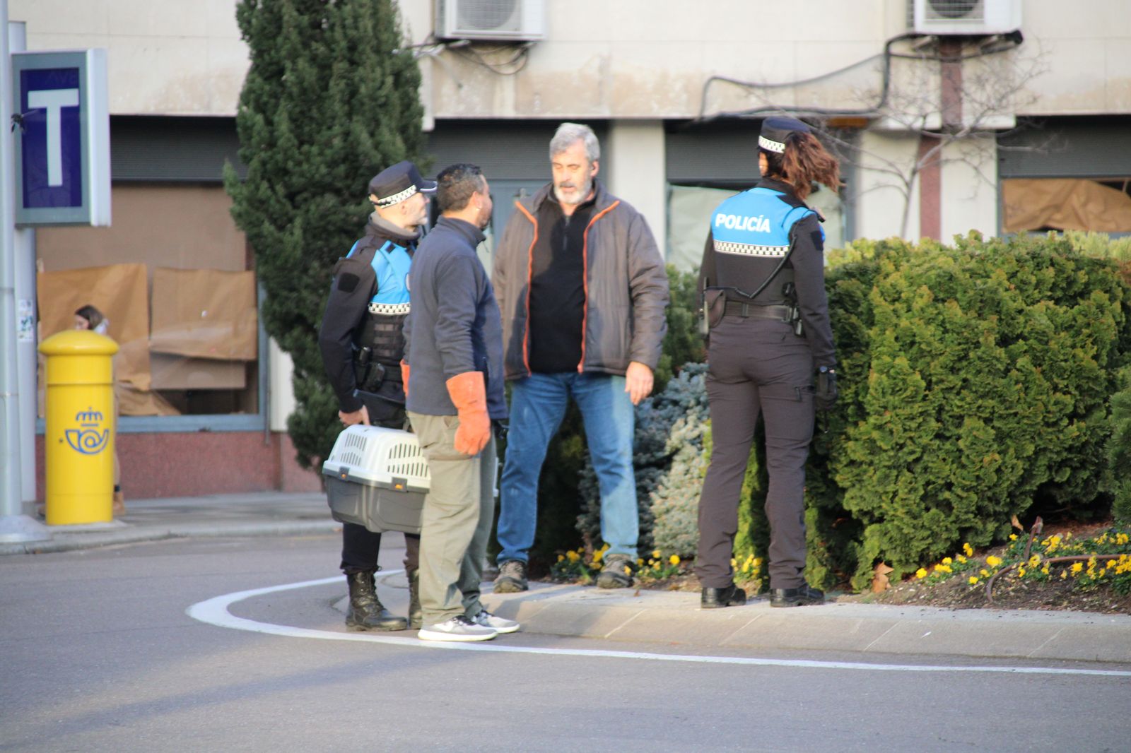 la-policia-local-busca-a-un-vison-refugiado-en-la-fuente-de-la-puerta-de-zamora-fotos-s24h-1