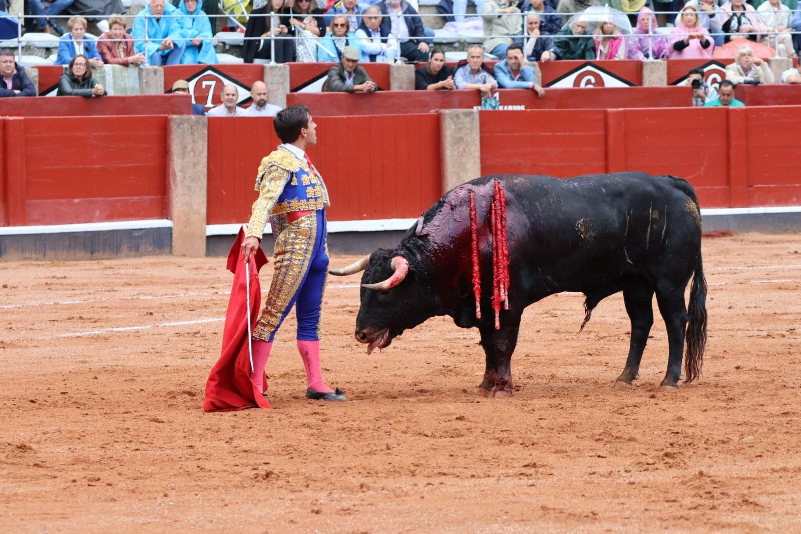 20230915174816-img-3997