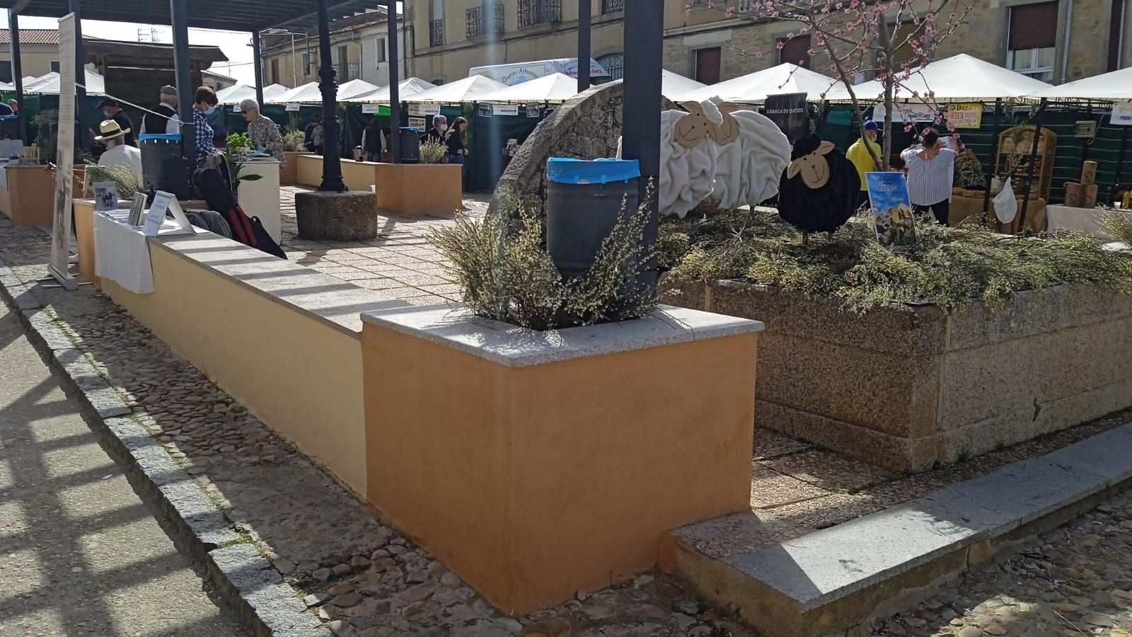 feria-del-queso-hinojosa-fotos-s24h-28