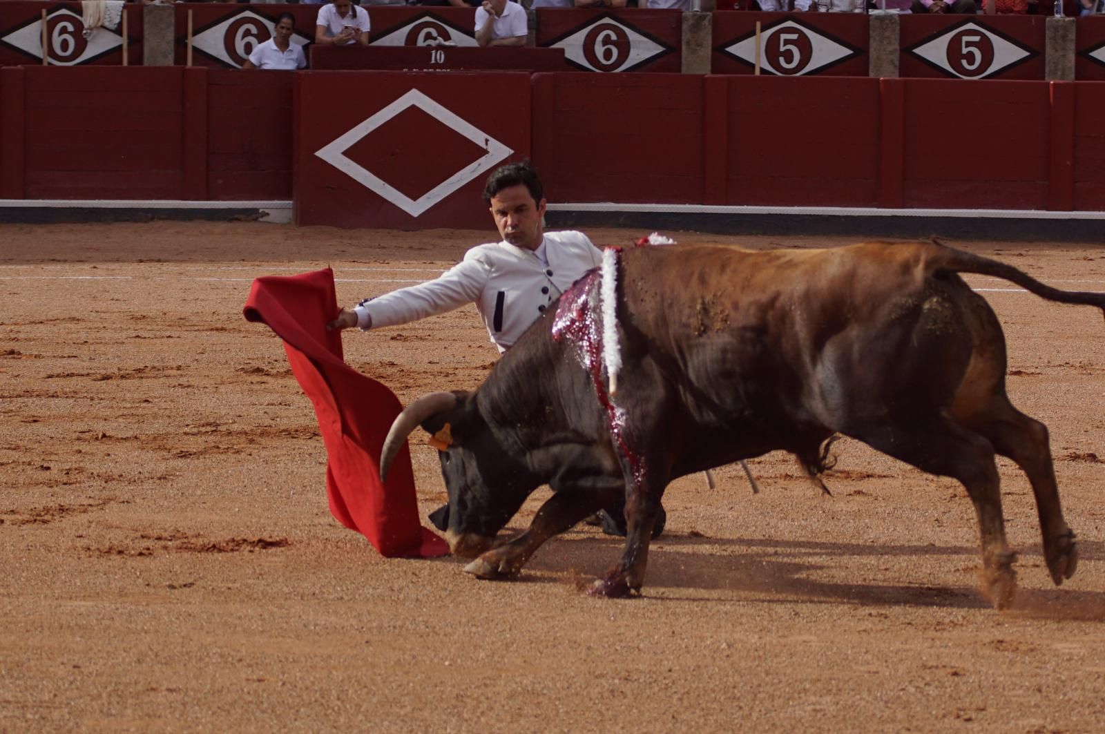 whatsapp-image-2025-06-12-at-21-25-04-4