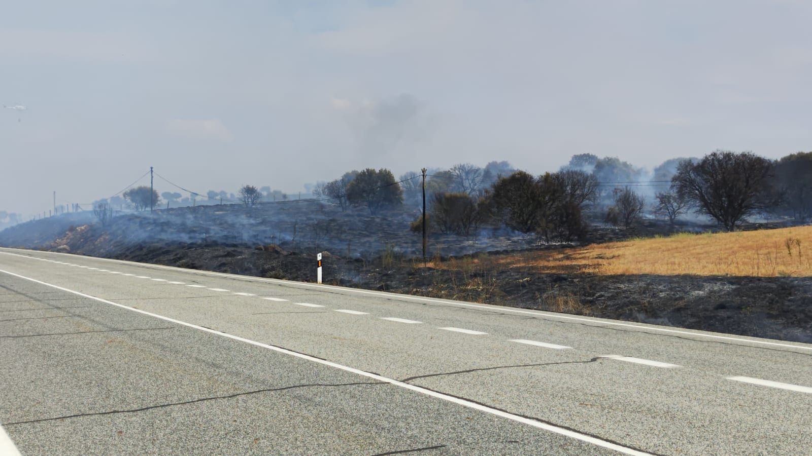 whatsapp-image-2024-09-02-at-14-28-43