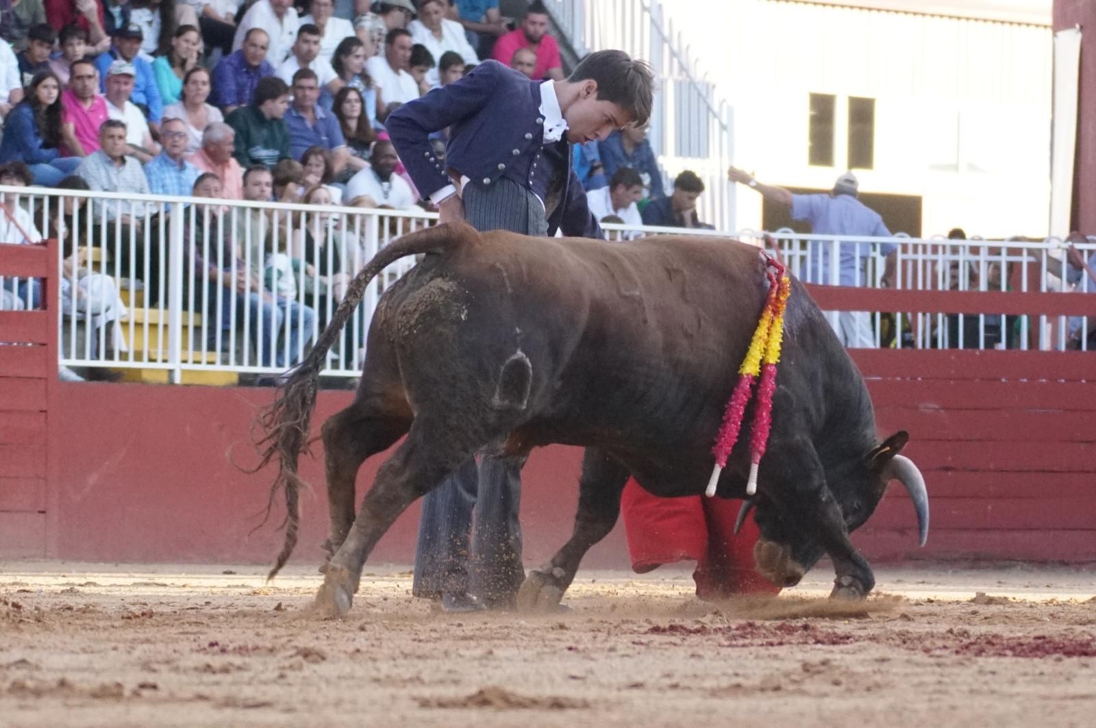 whatsapp-image-2024-09-07-at-20-49-11-8