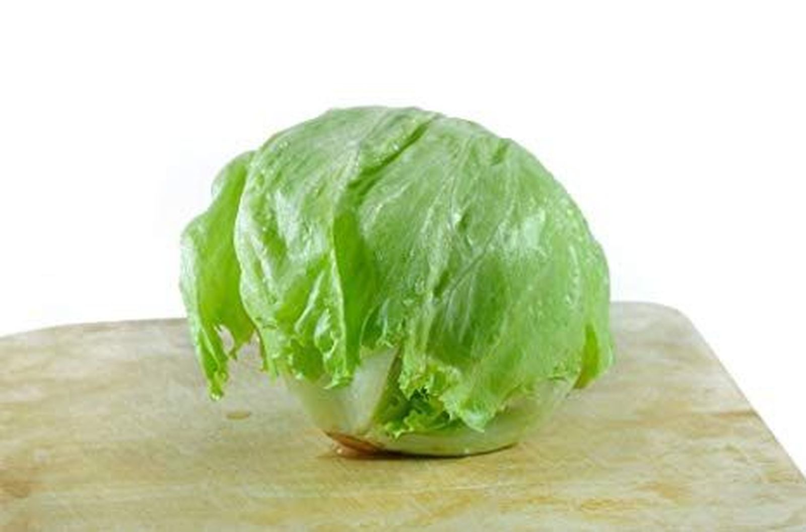 Lechuga iceberg