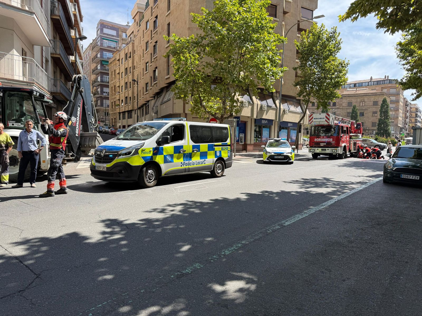 Un árbol cae sobre varios coches en Torres Villarroel