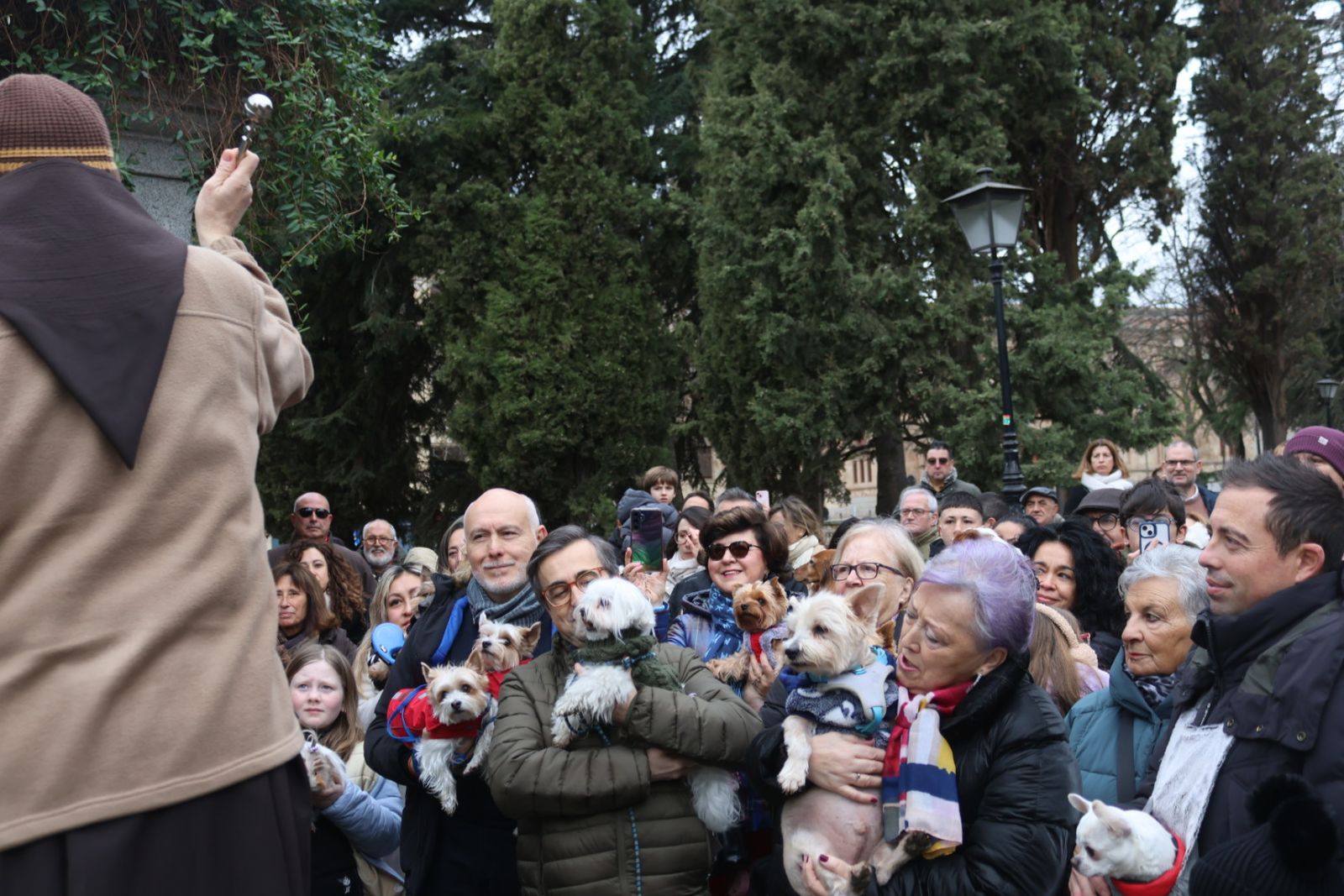 Bendición de los animales por San Antón en el Campo de San Francisco